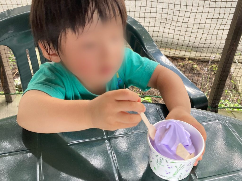 ラベンダーソフトクリーム