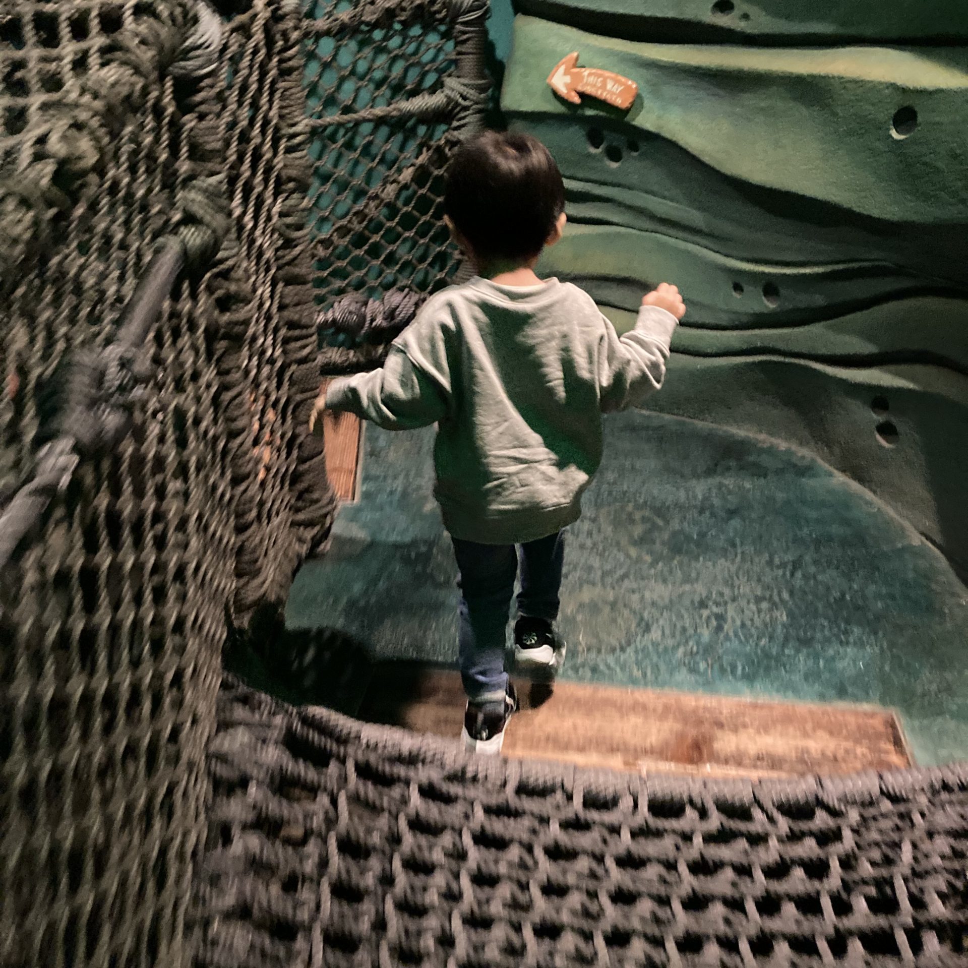 アリエルのプレイグラウンド