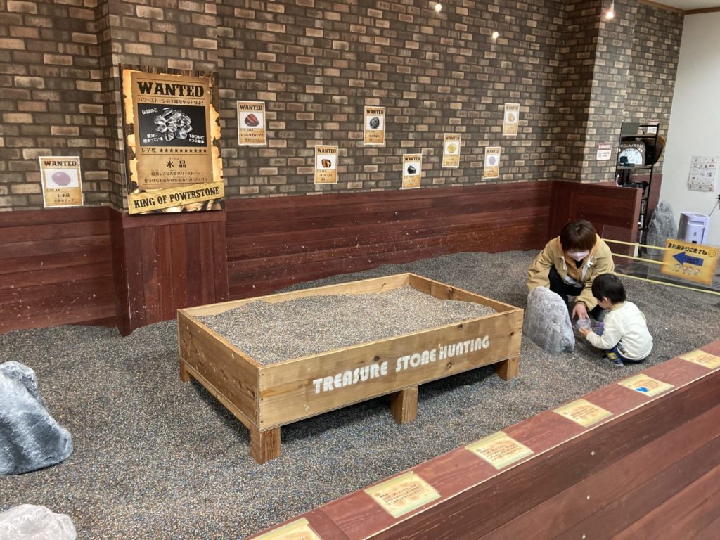 わんぱく宝探しのエリア