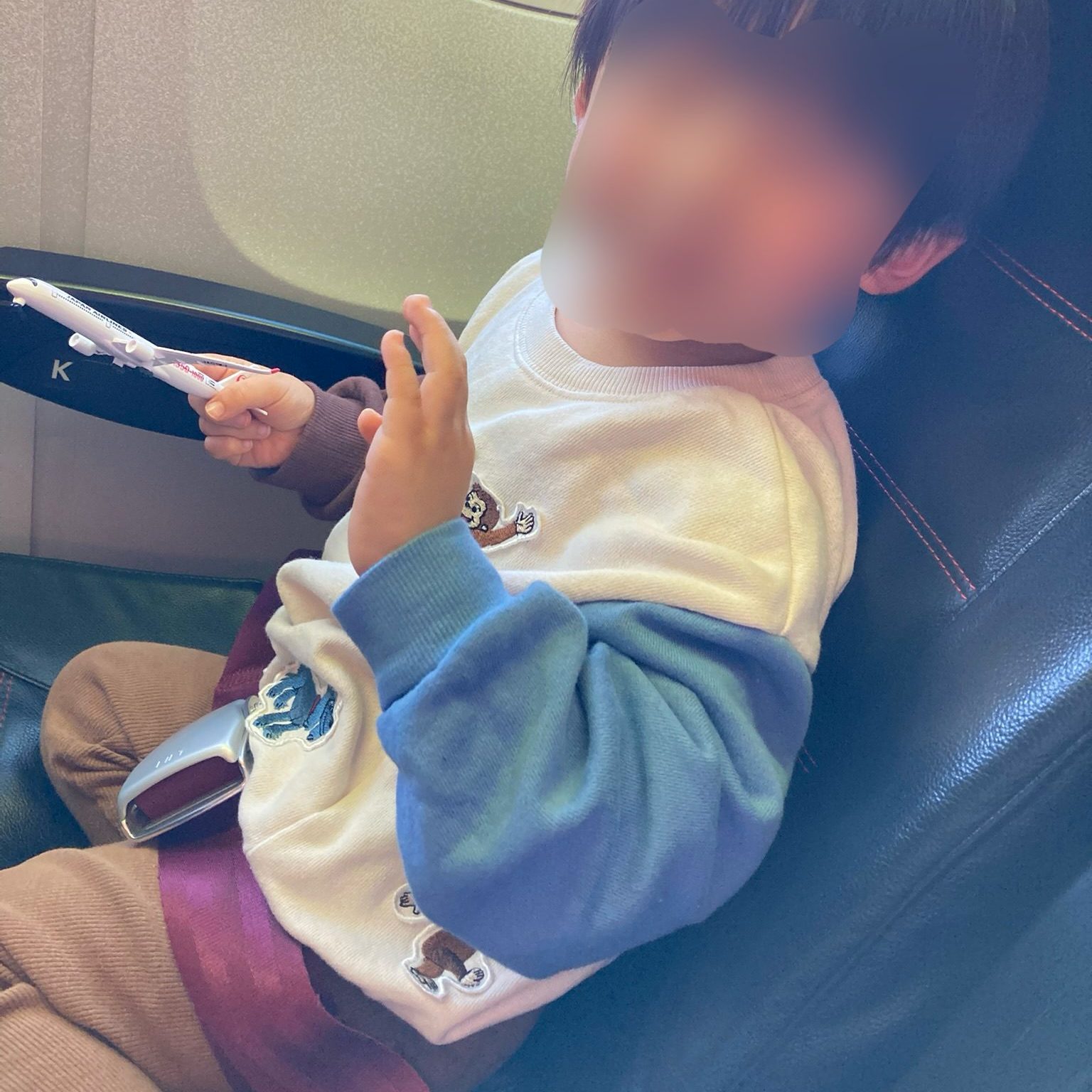 シートベルトをつける息子